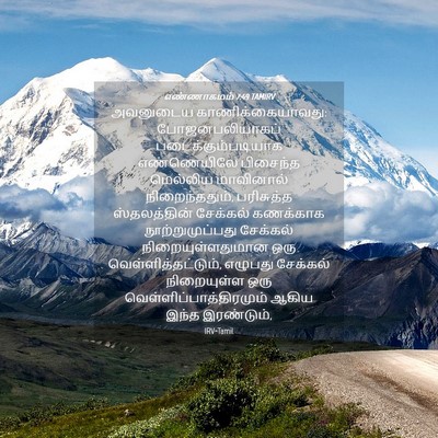 Picture 04 - எண்ணாகமம் 7:49 TAMIRV - அவனுடைய - Bible Verse Picture