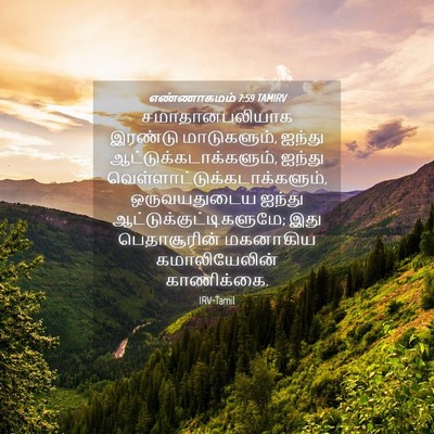 Picture 04 - எண்ணாகமம் 7:59 TAMIRV - சமாதானபலியாக - Bible Verse Picture