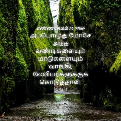 Picture 04 - எண்ணாகமம் 7:6 TAMIRV - அப்பொழுது மோசே - Bible Verse Picture