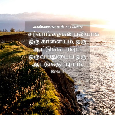 Picture 04 - எண்ணாகமம் 7:63 TAMIRV -  - Bible Verse Picture