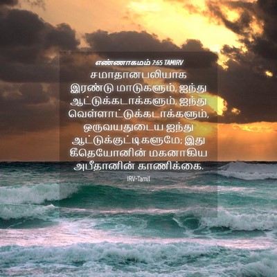 Picture 04 - எண்ணாகமம் 7:65 TAMIRV - சமாதானபலியாக - Bible Verse Picture