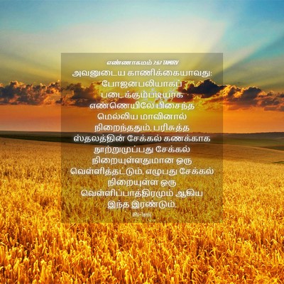 Picture 04 - எண்ணாகமம் 7:67 TAMIRV - அவனுடைய - Bible Verse Picture