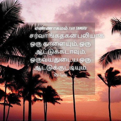 Picture 04 - எண்ணாகமம் 7:69 TAMIRV -  - Bible Verse Picture