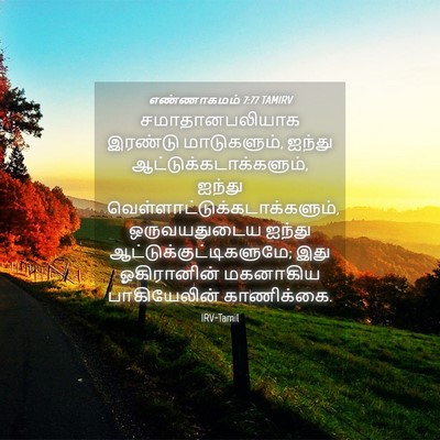 Picture 04 - எண்ணாகமம் 7:77 TAMIRV - சமாதானபலியாக - Bible Verse Picture