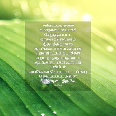 Picture 04 - எண்ணாகமம் 7:88 TAMIRV - சமாதானபலியாகச் - Bible Verse Picture
