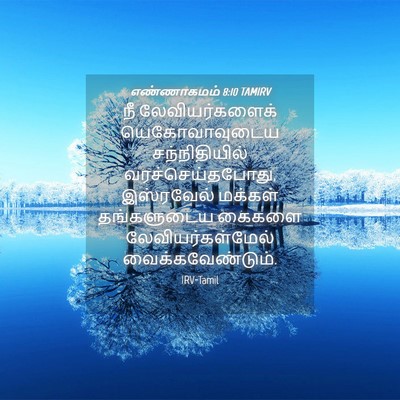 Picture 04 - எண்ணாகமம் 8:10 TAMIRV - நீ லேவியர்களைக் - Bible Verse Picture