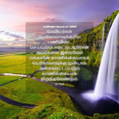 Picture 04 - எண்ணாகமம் 8:11 TAMIRV - லேவியர்கள் - Bible Verse Picture
