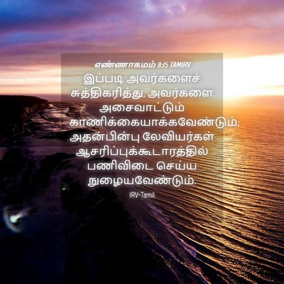 Picture 04 - எண்ணாகமம் 8:15 TAMIRV - இப்படி அவர்களைச் - Bible Verse Picture