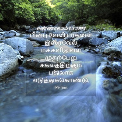 Picture 04 - எண்ணாகமம் 8:18 TAMIRV - பின்பு லேவியர்களை - Bible Verse Picture
