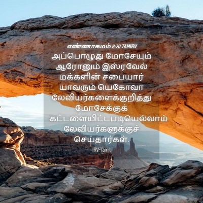 Picture 04 - எண்ணாகமம் 8:20 TAMIRV - அப்பொழுது - Bible Verse Picture