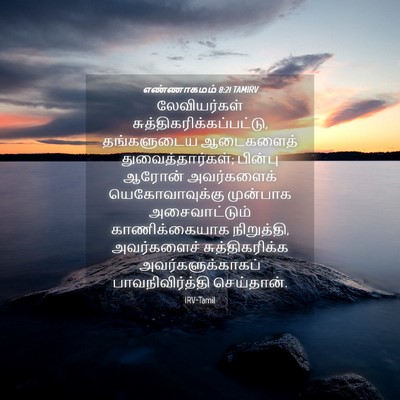 Picture 04 - எண்ணாகமம் 8:21 TAMIRV - லேவியர்கள் - Bible Verse Picture