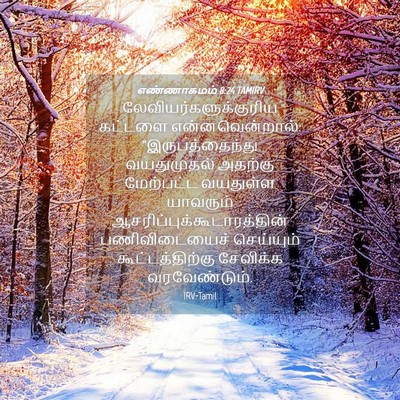 Picture 04 - எண்ணாகமம் 8:24 TAMIRV -  - Bible Verse Picture