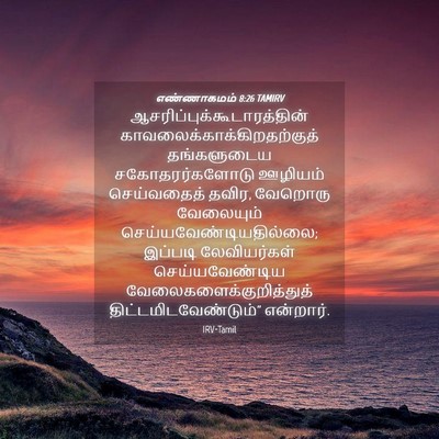 Picture 04 - எண்ணாகமம் 8:26 TAMIRV -  - Bible Verse Picture