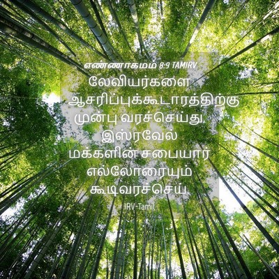 Picture 04 - எண்ணாகமம் 8:9 TAMIRV - லேவியர்களை - Bible Verse Picture