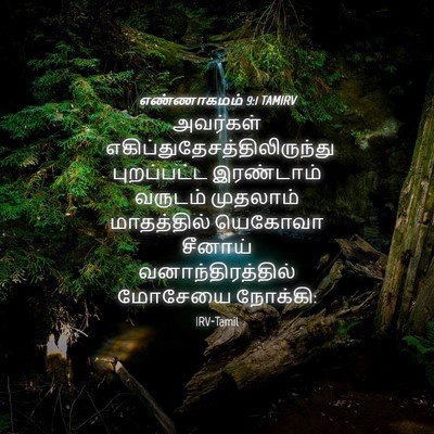 Picture 04 - எண்ணாகமம் 9:1 TAMIRV - அவர்கள் - Bible Verse Picture