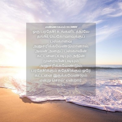 Picture 04 - எண்ணாகமம் 9:14 TAMIRV - ஒரு பரதேசி - Bible Verse Picture