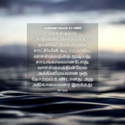 Picture 04 - எண்ணாகமம் 9:15 TAMIRV - வாசஸ்தலம் - Bible Verse Picture