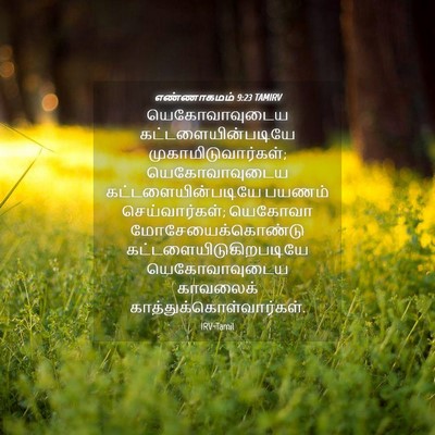 Picture 04 - எண்ணாகமம் 9:23 TAMIRV - யெகோவாவுடைய - Bible Verse Picture