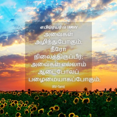 Picture 04 - எபிரெயர் 1:11 TAMIRV - அவைகள் - Bible Verse Picture
