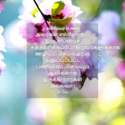 Picture 04 - எபிரெயர் 1:14 TAMIRV - அவர்கள் - Bible Verse Picture