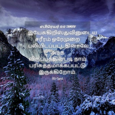 Picture 04 - எபிரெயர் 10:10 TAMIRV -  - Bible Verse Picture