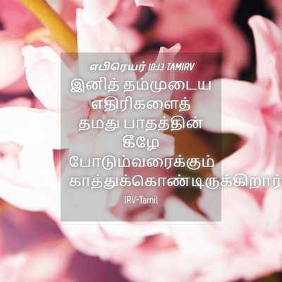 Picture 04 - எபிரெயர் 10:13 TAMIRV - இனித் தம்முடைய - Bible Verse Picture