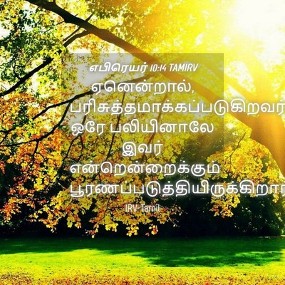 Picture 04 - எபிரெயர் 10:14 TAMIRV - ஏனென்றால், - Bible Verse Picture