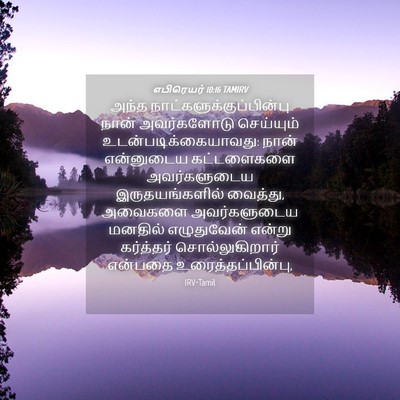 Picture 04 - எபிரெயர் 10:16 TAMIRV - அந்த - Bible Verse Picture