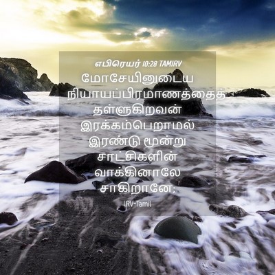 Picture 04 - எபிரெயர் 10:28 TAMIRV - மோசேயினுடைய - Bible Verse Picture