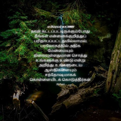 Picture 04 - எபிரெயர் 10:34 TAMIRV - நான் - Bible Verse Picture