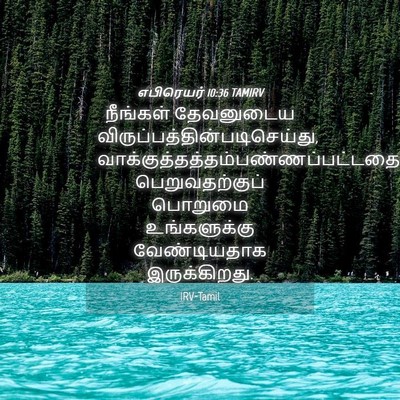 Picture 04 - எபிரெயர் 10:36 TAMIRV - நீங்கள் தேவனுடைய - Bible Verse Picture