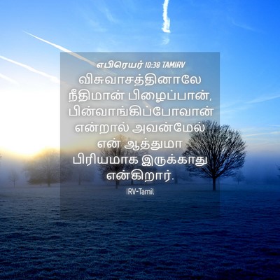 Picture 04 - எபிரெயர் 10:38 TAMIRV - விசுவாசத்தினாலே - Bible Verse Picture