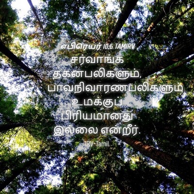 Picture 04 - எபிரெயர் 10:6 TAMIRV - சர்வாங்க - Bible Verse Picture