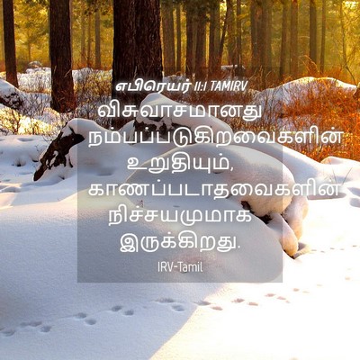 Picture 04 - எபிரெயர் 11:1 TAMIRV - விசுவாசமானது - Bible Verse Picture
