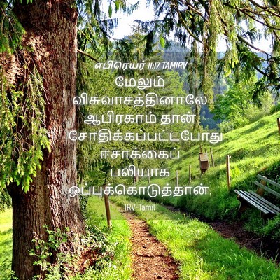 Picture 04 - எபிரெயர் 11:17 TAMIRV - மேலும் - Bible Verse Picture
