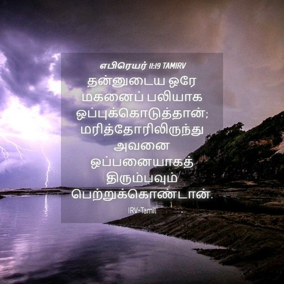 Picture 04 - எபிரெயர் 11:19 TAMIRV - தன்னுடைய ஒரே - Bible Verse Picture