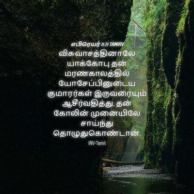 Picture 04 - எபிரெயர் 11:21 TAMIRV - விசுவாசத்தினாலே - Bible Verse Picture