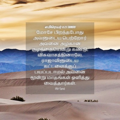 Picture 04 - எபிரெயர் 11:23 TAMIRV - மோசே பிறந்தபோது - Bible Verse Picture