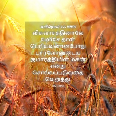 Picture 04 - எபிரெயர் 11:24 TAMIRV - விசுவாசத்தினாலே - Bible Verse Picture