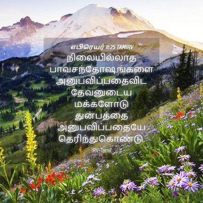 Picture 04 - எபிரெயர் 11:25 TAMIRV - நிலையில்லாத - Bible Verse Picture