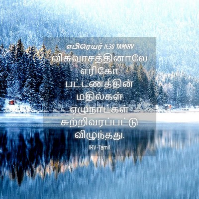 Picture 04 - எபிரெயர் 11:30 TAMIRV - விசுவாசத்தினாலே - Bible Verse Picture