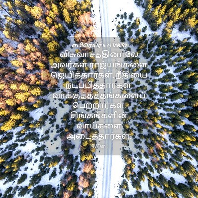 Picture 04 - எபிரெயர் 11:33 TAMIRV - விசுவாசத்தினாலே - Bible Verse Picture