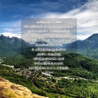 Picture 04 - எபிரெயர் 11:35 TAMIRV - பெண்கள் - Bible Verse Picture