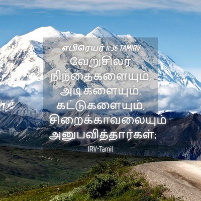 Picture 04 - எபிரெயர் 11:36 TAMIRV - வேறுசிலர் - Bible Verse Picture