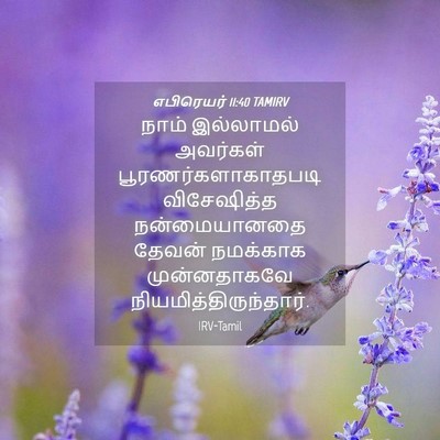 Picture 04 - எபிரெயர் 11:40 TAMIRV - நாம் இல்லாமல் - Bible Verse Picture