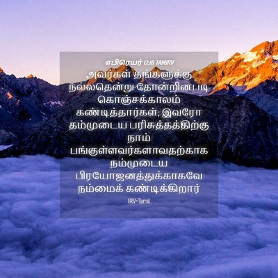 Picture 04 - எபிரெயர் 12:10 TAMIRV - அவர்கள் - Bible Verse Picture