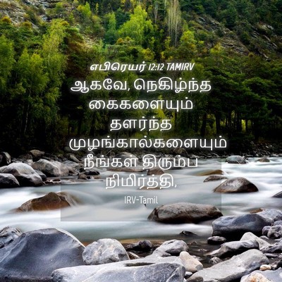 Picture 04 - எபிரெயர் 12:12 TAMIRV - ஆகவே, நெகிழ்ந்த - Bible Verse Picture