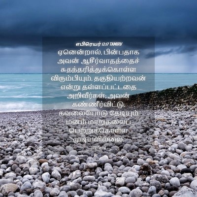 Picture 04 - எபிரெயர் 12:17 TAMIRV - ஏனென்றால், - Bible Verse Picture