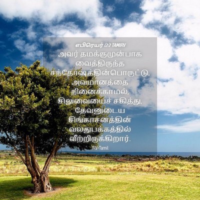 Picture 04 - எபிரெயர் 12:2 TAMIRV - அவர் - Bible Verse Picture