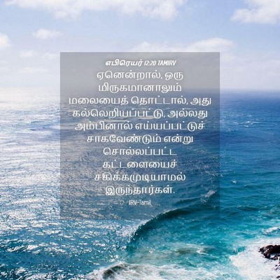 Picture 04 - எபிரெயர் 12:20 TAMIRV - ஏனென்றால், ஒரு - Bible Verse Picture